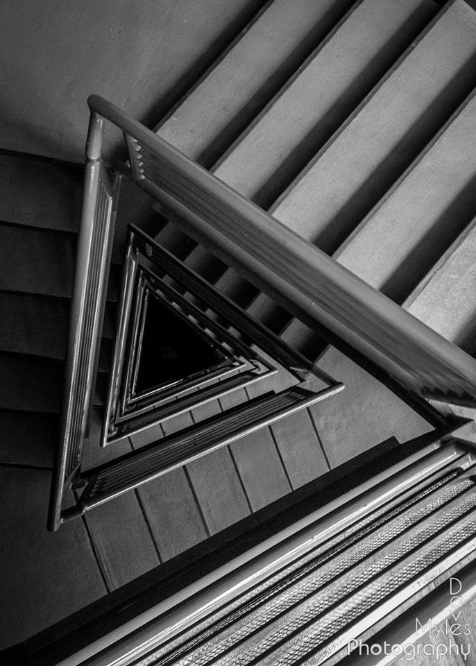 Branding e UX Premium | Trilion