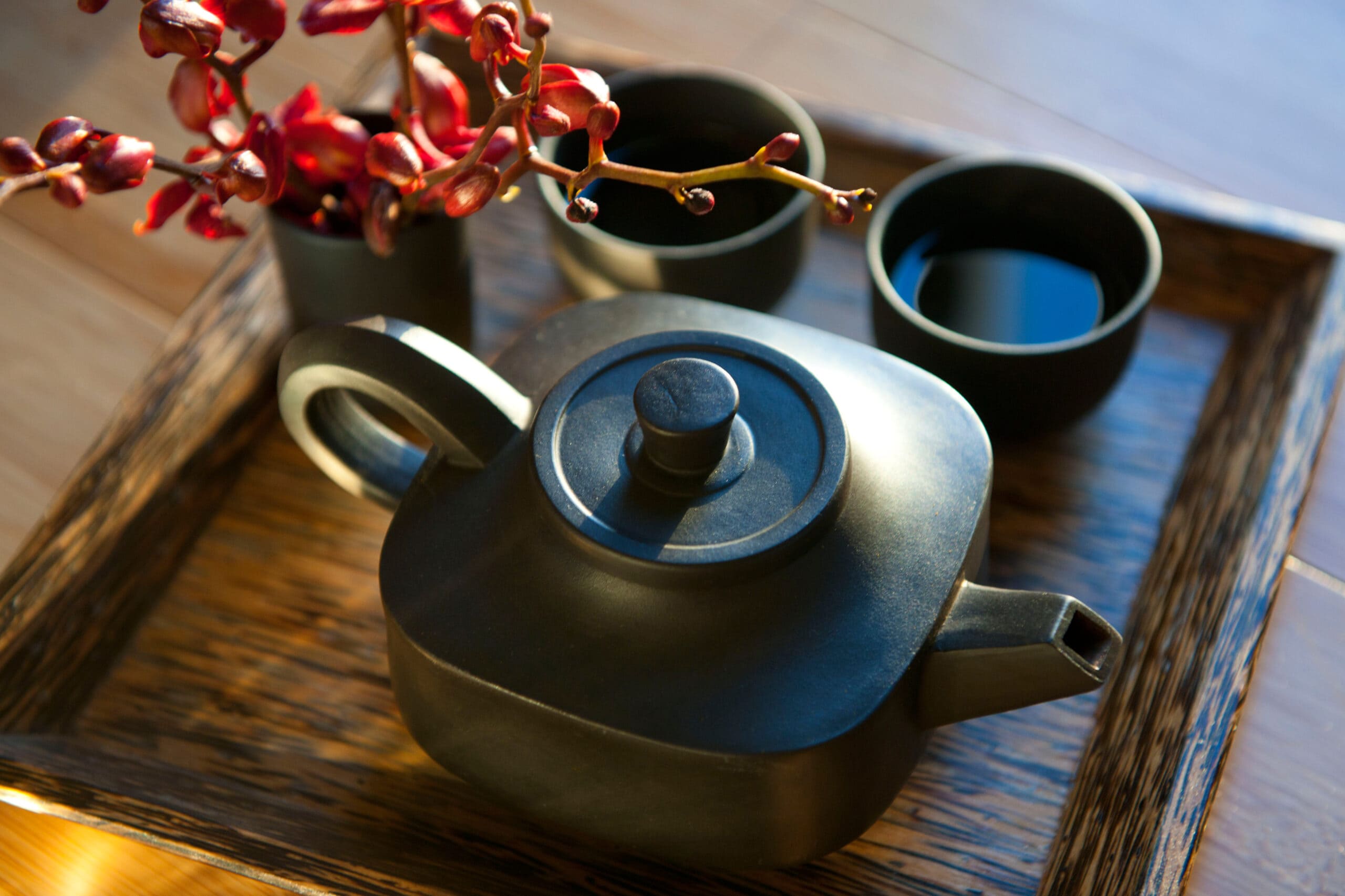 Consultoria de IA para Rede de Clinicas Premium