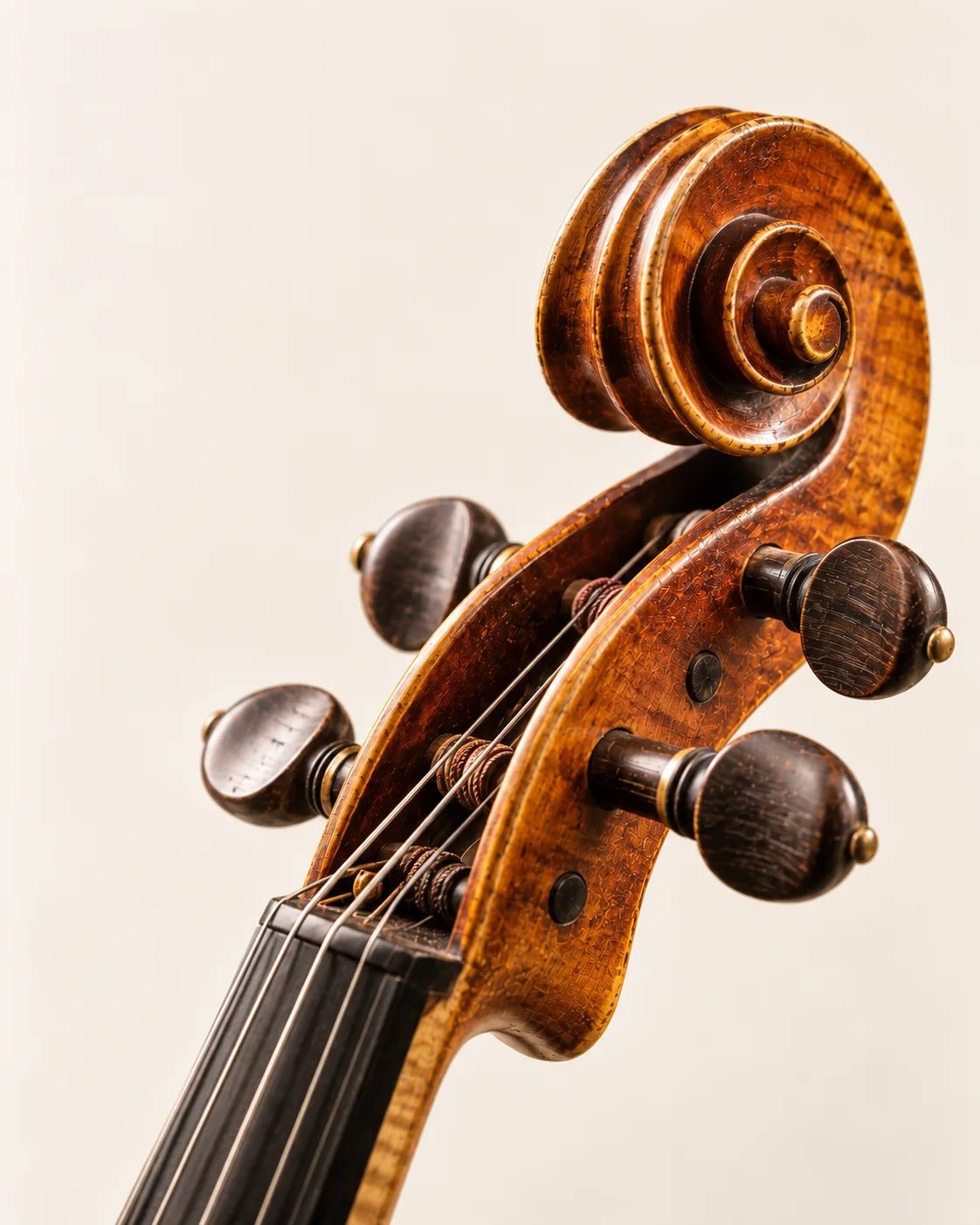 Voluta e cravelhas de um violino antigo