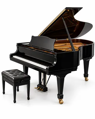 Piano de cauda preto laqueado, com a tampa levantada e o banco ao lado, sobre fundo branco